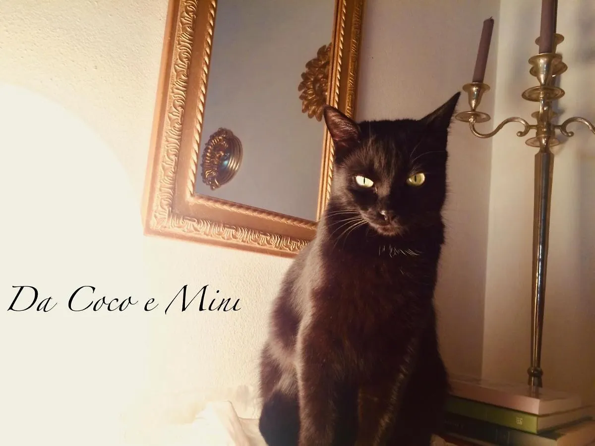 Da Coco E Mini,L'Angolo Per Ceramiste In Viaggio - Faenza 0*,  Italy
