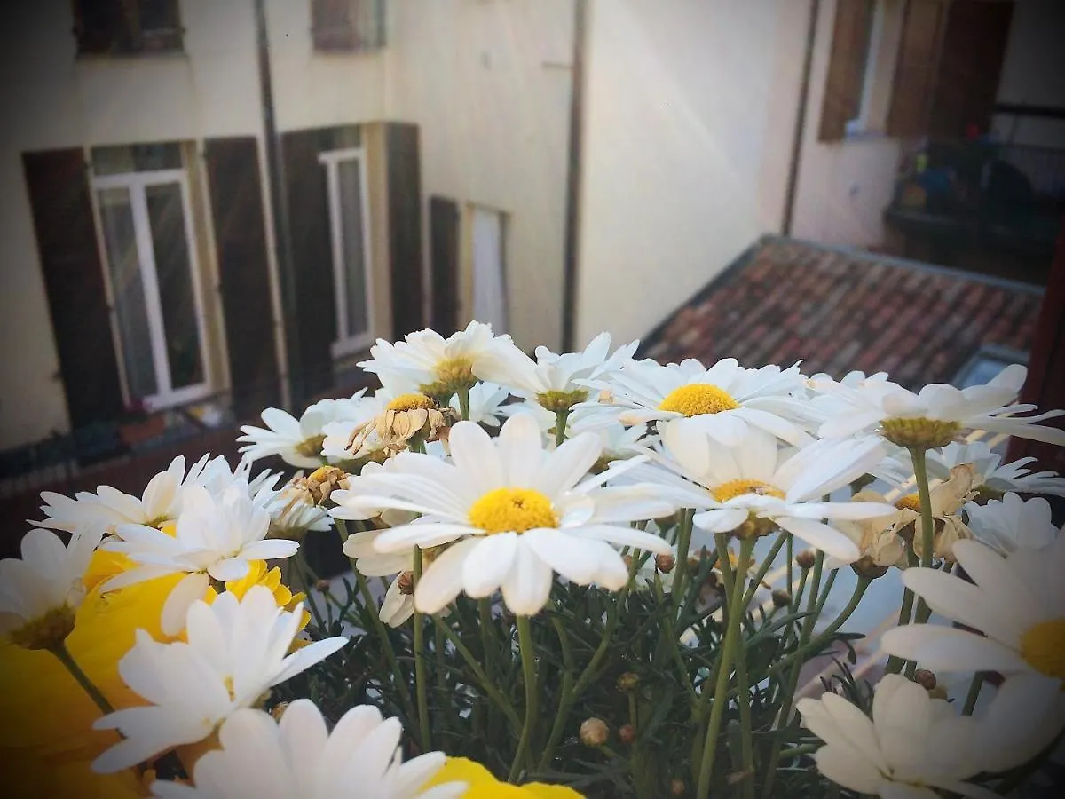 Guest house Da Coco E Mini,L'Angolo Per Ceramiste In Viaggio - Faenza Italy